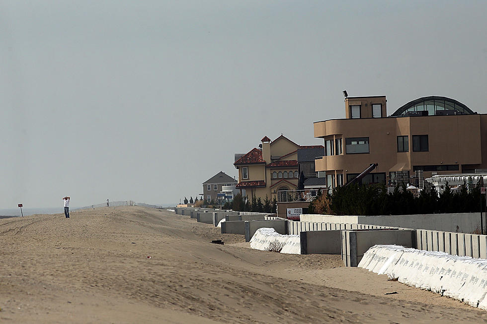 Replanting Project Focuses on Repairing Sandy-Damaged Coast