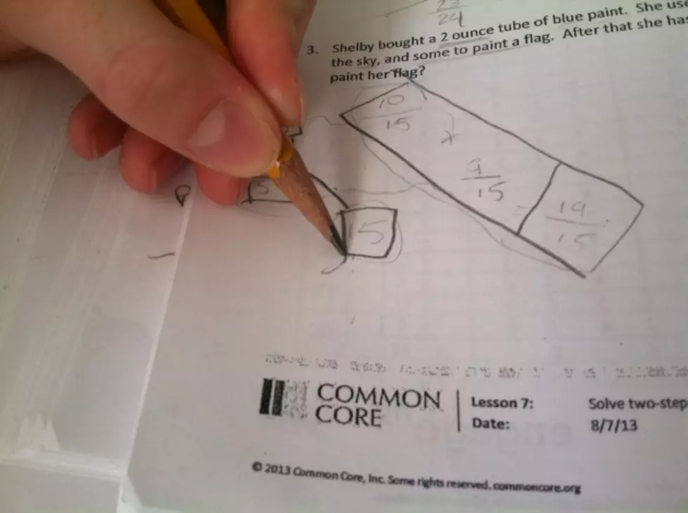 New York State Says 10,500 Weighed in On Common Core