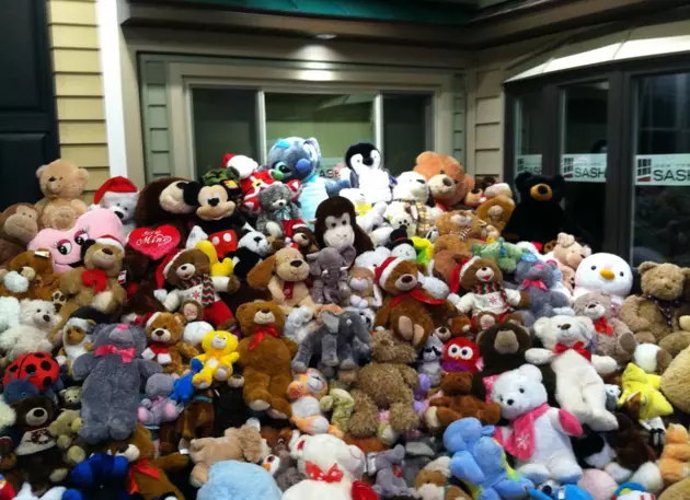 The Teddy Bear Count Is On [VIDEO]