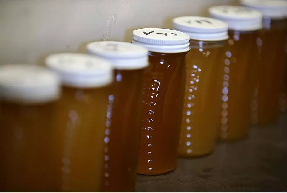 New York Honey Production Up In 2015