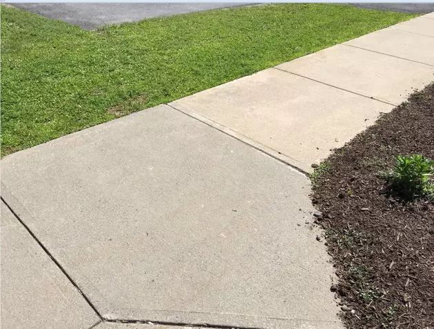 2 Teachers Accused Of Drawing Rat On New Concrete Sidewalk