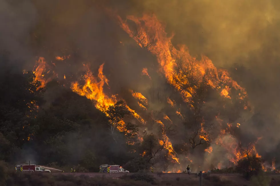 New York Rangers Respond to Multiple Rare Winter Wildfires in Central New York