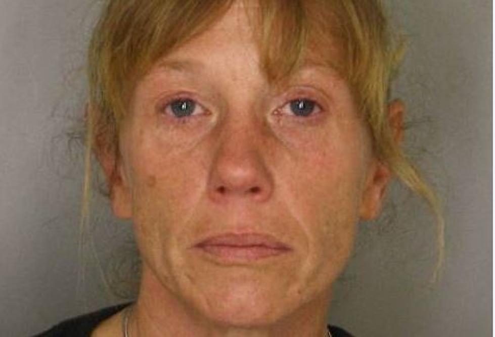 Little Fall Woman Charged With Welfare Fraud
