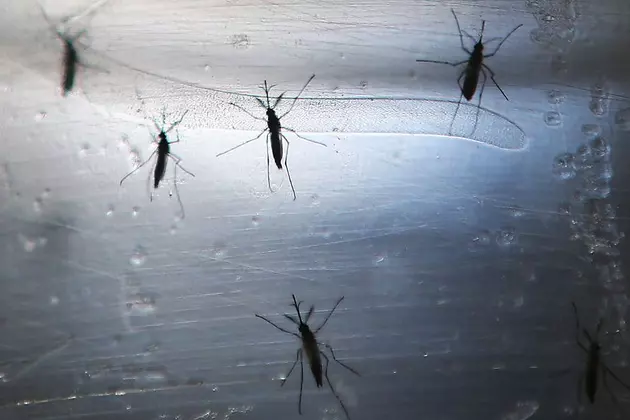 NY Attorney General Targeting Bogus Zika Protections