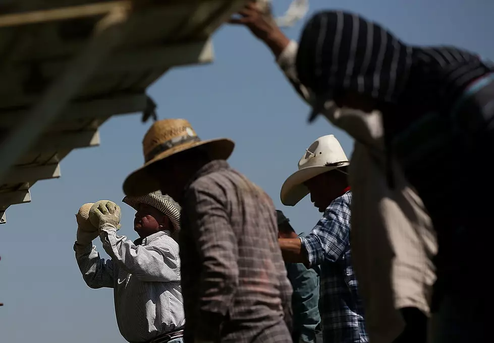 Fearing A Worker Shortage, Farmers Push Back On Ommigration