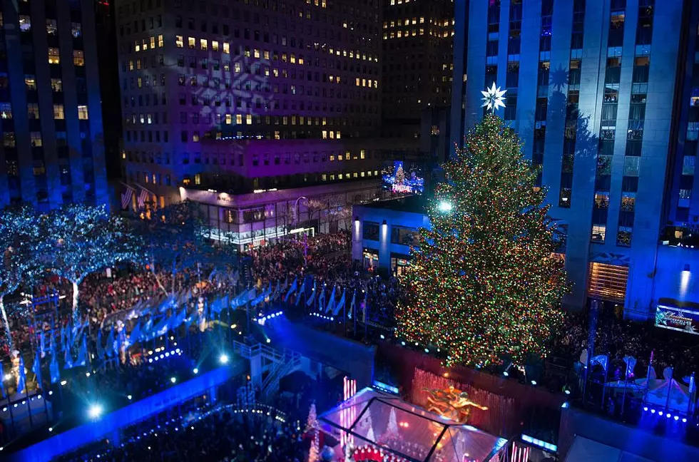 Rockefeller Center Christmas Tree Cut In Upstate New York