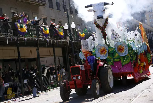 Thousands Throng to New Orleans for Fat Tuesday Celebrations
