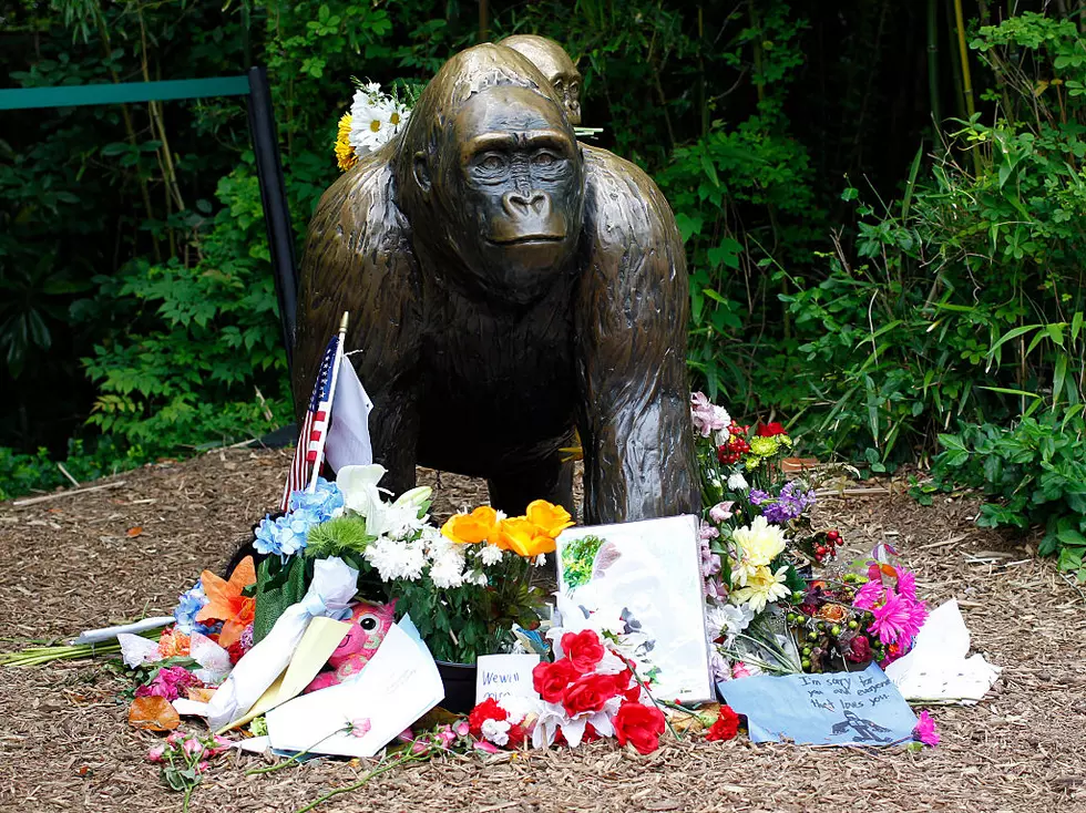 Cheeto That Looks Like Harambe Sells For $100,000 on eBay