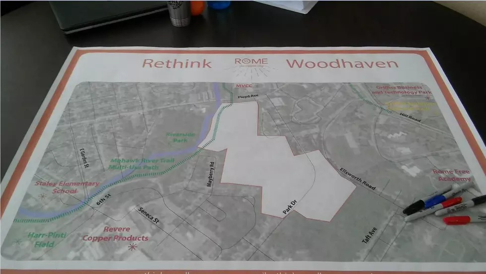 Workshops Held On Redevelopment Of Woodhaven Property In Rome