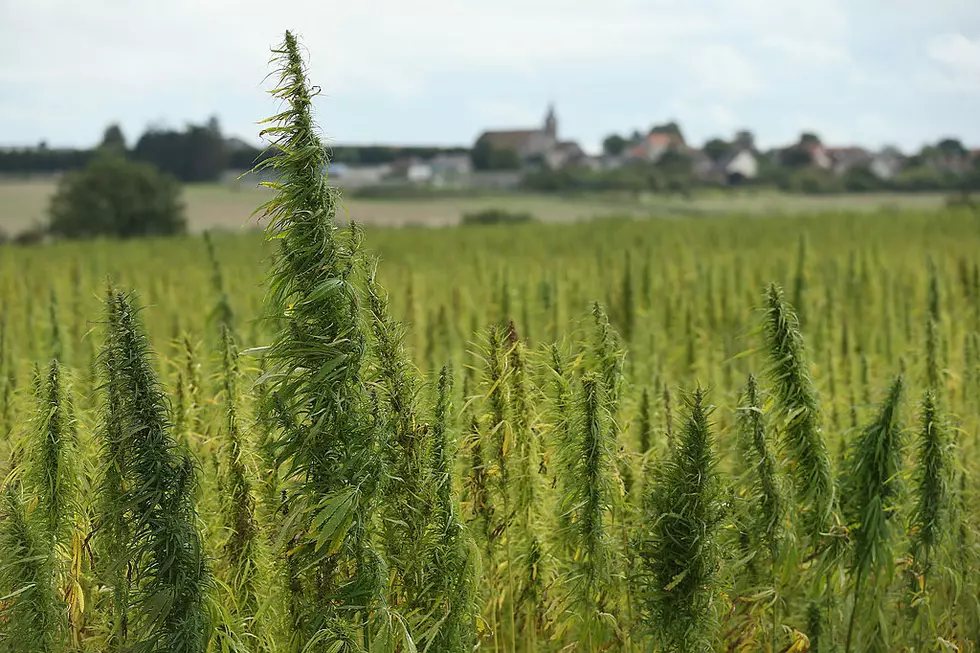 Hemp-Processing Plant