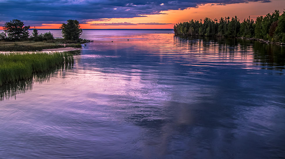 Feds Award $400K To Fight Invasive Weeds In Finger Lakes