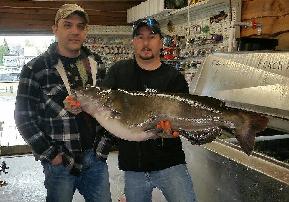 NY Fisherman Talks About Reeling-In Record Catfish on Lake Ontario