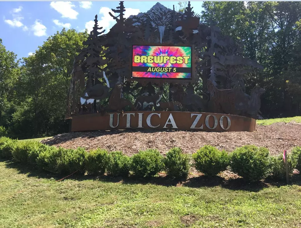 Law Firm To Sponsor Free Rides Home From Utica Zoo&#8217;s &#8216;Brewfest&#8217;