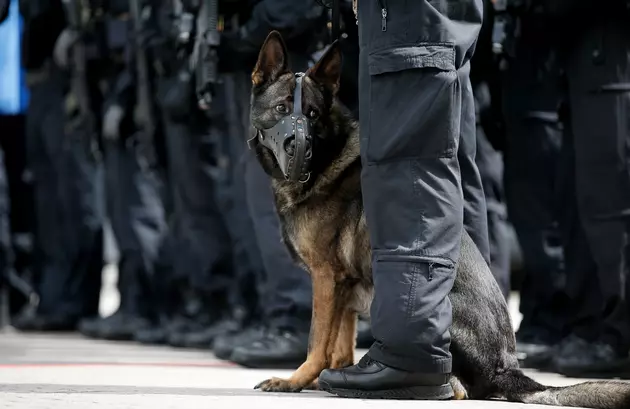 15 NY Troopers And Canines Graduate From Handler School