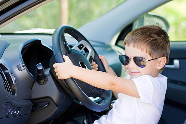 Hot Cars In The Summer Are Dangerous For Kids And Pets &#8211; Car Care Tips