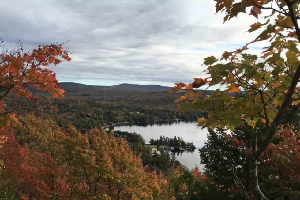 Fall Foliage Map Will Help Leaf Peepers Pick Peak Times for Travel