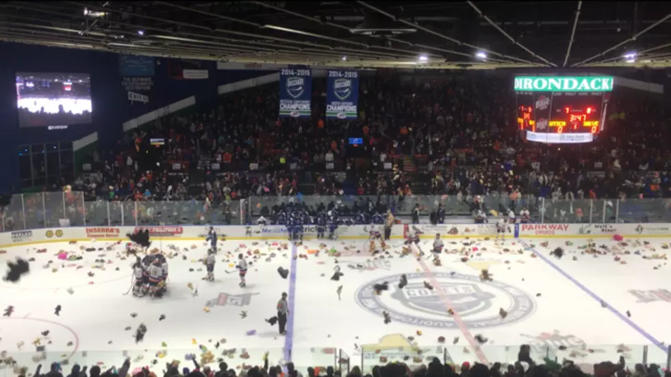 Utica College Teddy Bear Toss Tickets Now on Sale