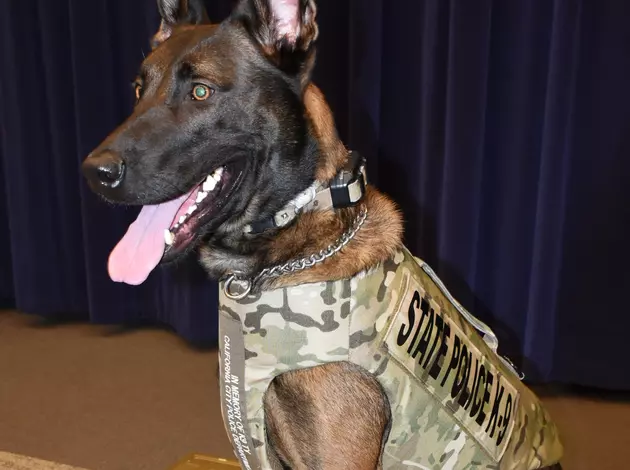 State Police K9 Killed in the Line of Duty