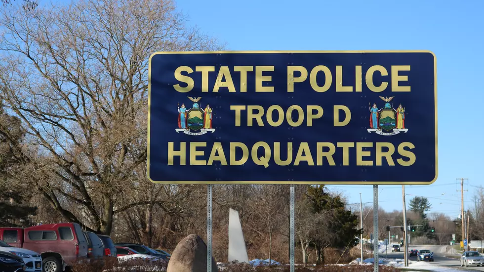Law Enforcement Veteran Named New Leader Of NY State Police