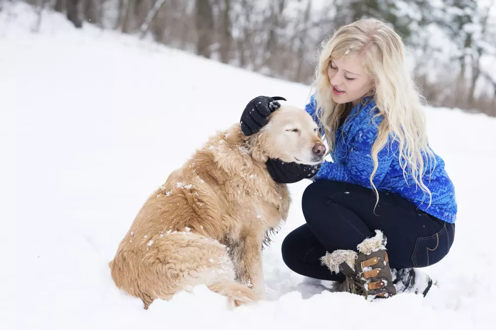 Protect Pets in Subzero Temps