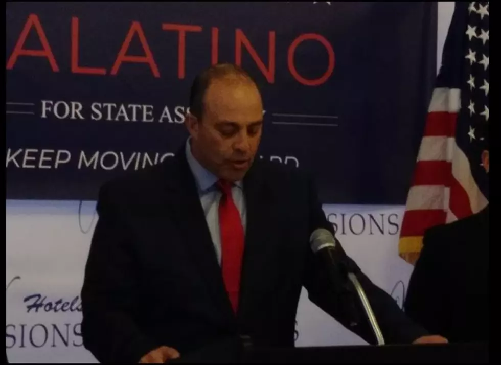 NYS Supreme Court Affirms Salatino&#8217;s Removal from Ballot on Democrat, Working Families Lines