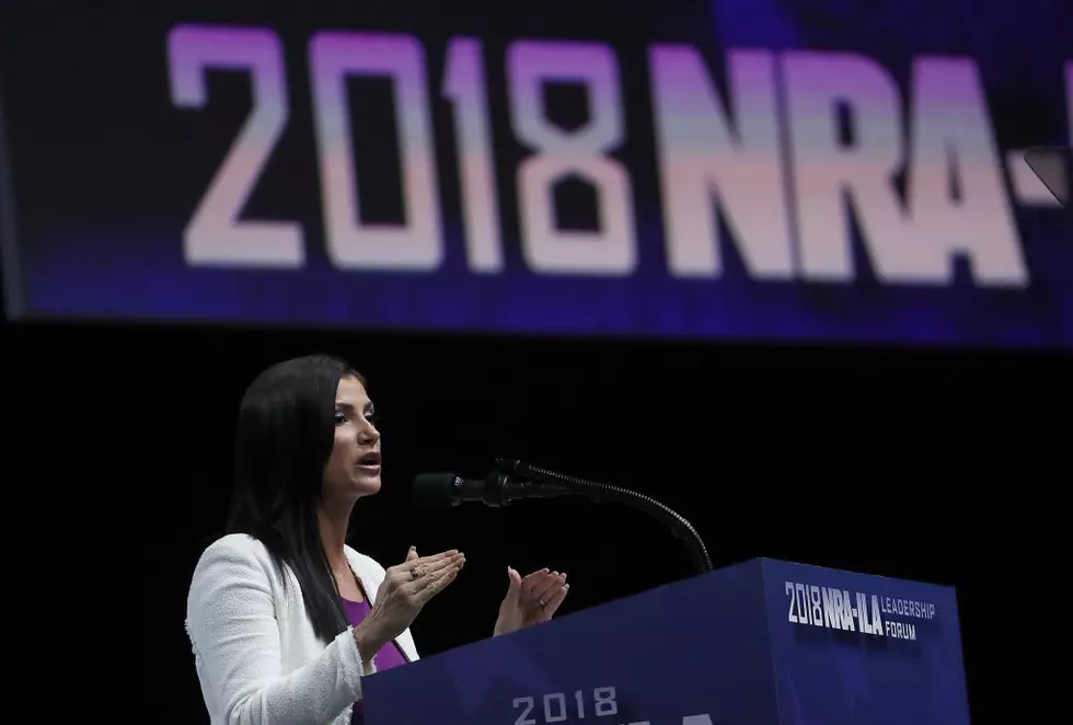 NRA Sues New York Officials Over ‘Blacklisting’ Campaign