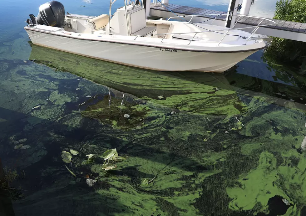 Officials: Skaneateles Lake Algae Bloom Could Be Toxic