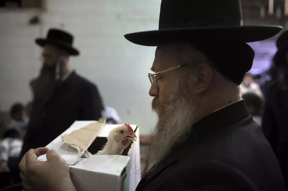 NY Court Allows Jewish Religious Chicken Killing Ritual