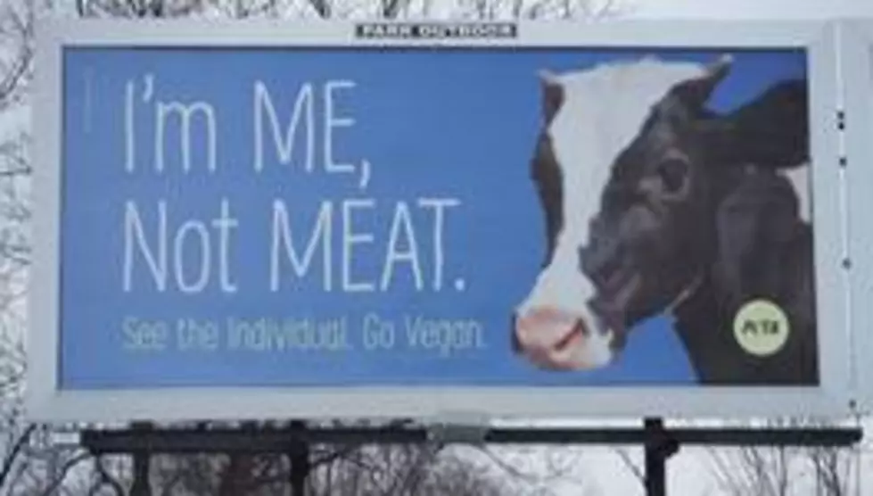 Chicken And Cows Message To Utica 'I'm Me, Not Meat'