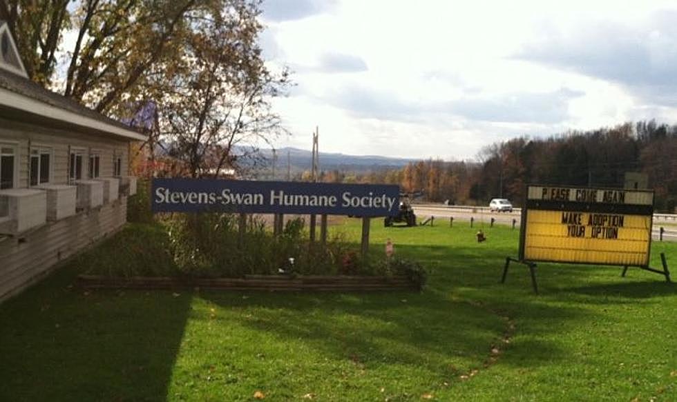 Humane Society Gets State Funding