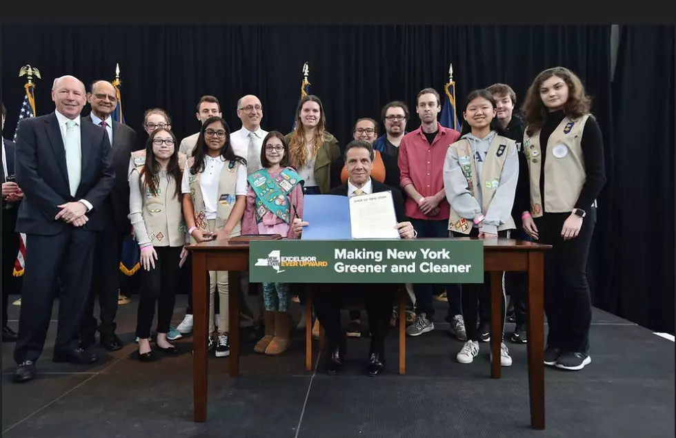 Cuomo Signs Plastic Bag Ban