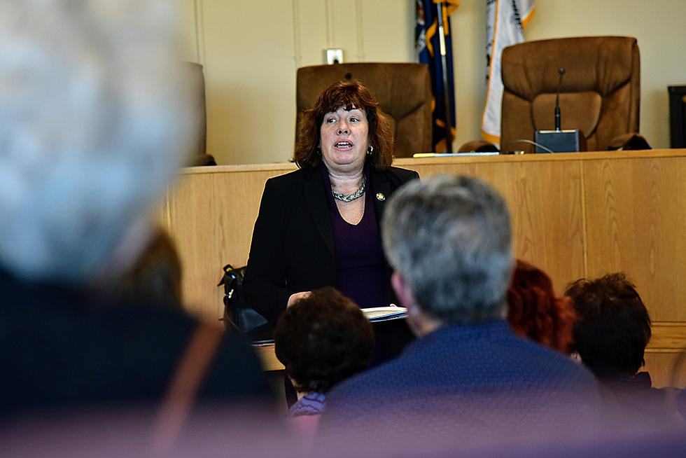 Assemblywoman Buttenschon Votes Against Bail Reform “Fix” – Budget Passes