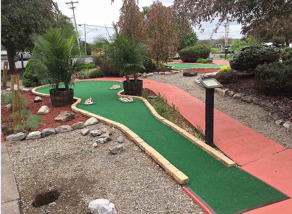 Palm Springs Mini Golf In Marcy Re-Opens Under Original Ownership