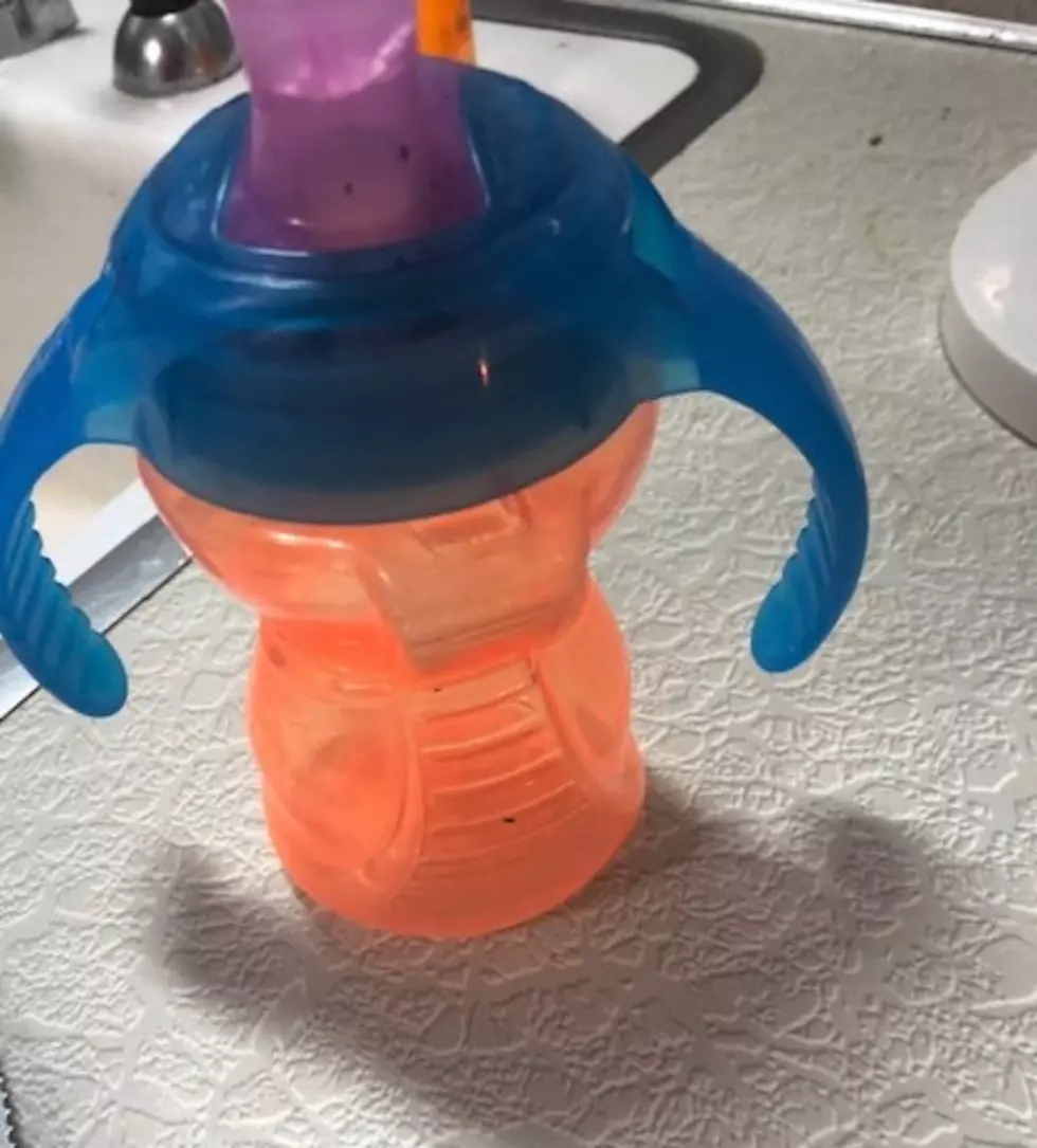 Diary of a Dad: What Could Be Lurking in Your Child’s Plastic Sippy Cup
