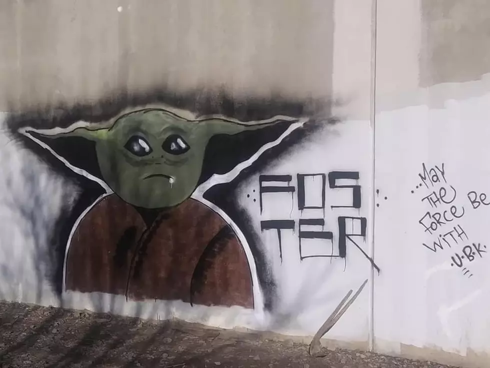 Find A New Home In Utica Yoda Does