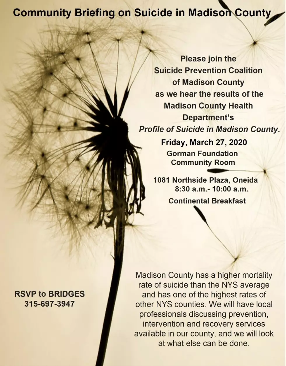 Community Briefing on Suicide in Madison County