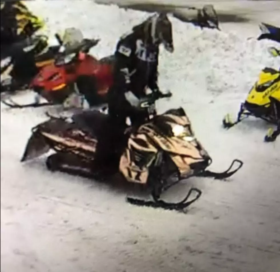 Do You Know This Snowmobiler?