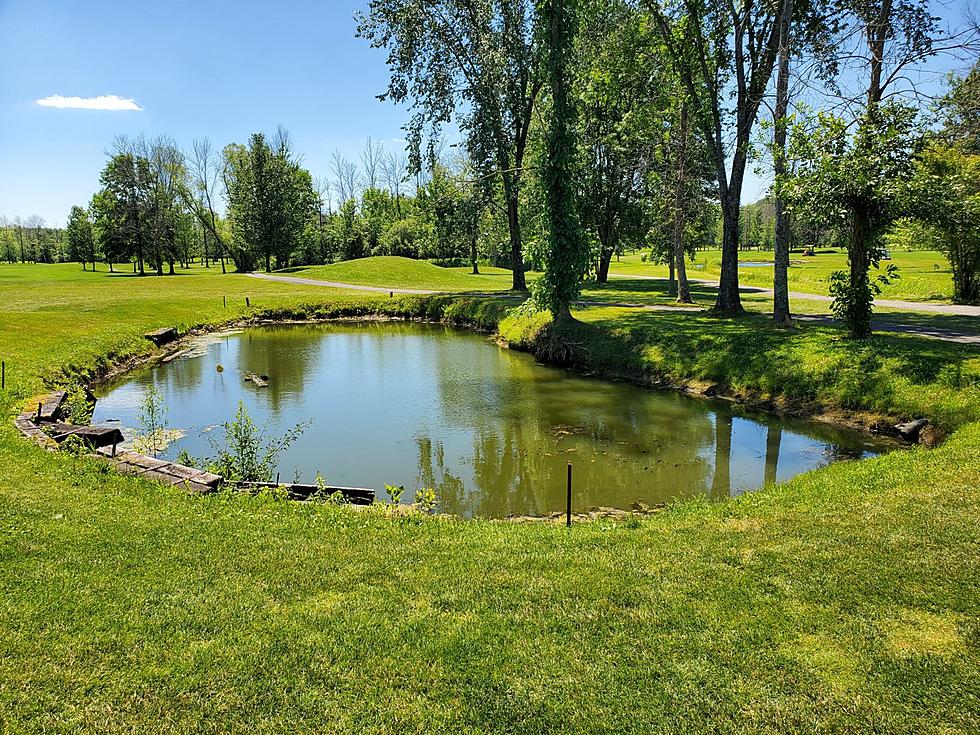 Man, 90, Dies in Tragic Golf Course Incident in Madison County