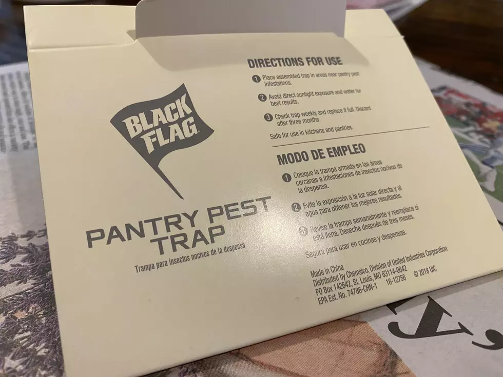 Pantry Moth trap by Black Flag. Photo by Bill Keeler / TSM