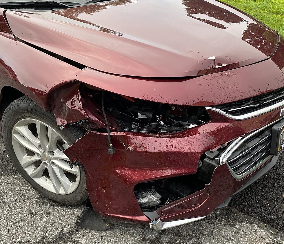 New Hartford Woman Strikes Deer Driving on Major State Highway