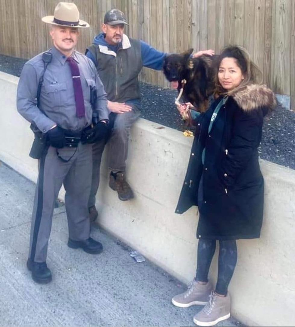 Hero Trooper Rescues Dog on I-95 in Westchester