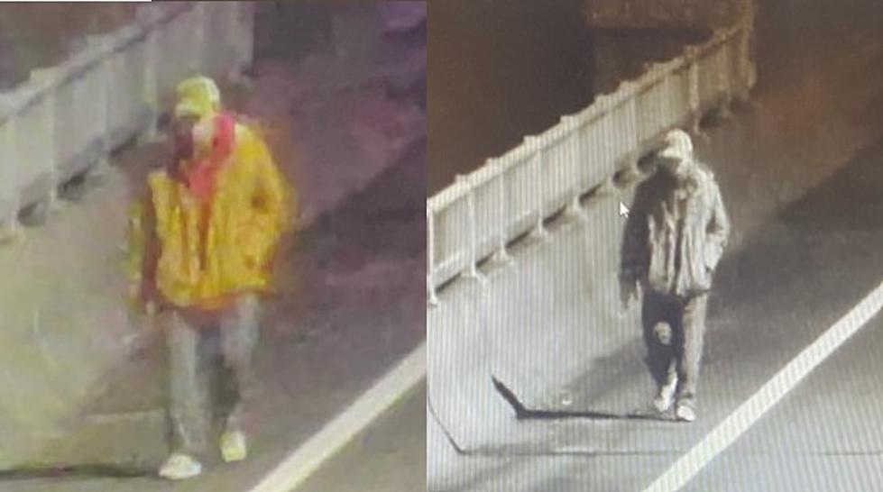 Catskill Police: Who is This Man Walking on the Rip Van Winkle?