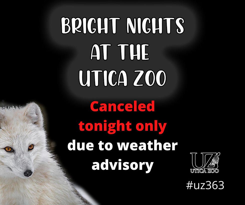 Weather Forces Cancellation of Utica Zoo's Bright Nights Tonight 