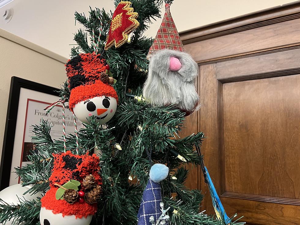Christmas Ornaments From Clinton Elementary School On Display In Washington