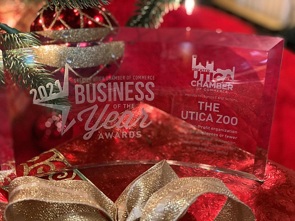 Utica Zoo Named Business Of The Year By Utica Chamber Of Commerce