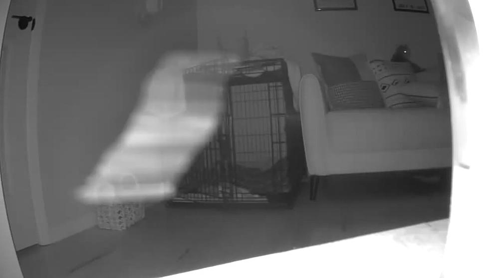 Did a Utica Woman Capture a Ghost on Her Blink Camera?