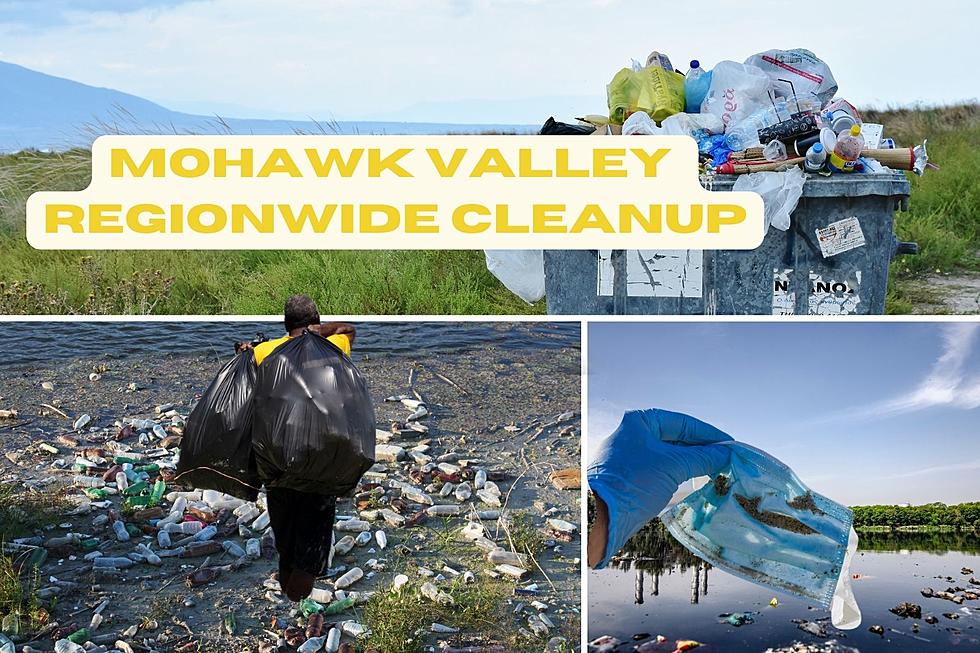 How You Can Help Keep Mohawk Valley Beautiful – Regionwide Clean and Green Cleanup Planned