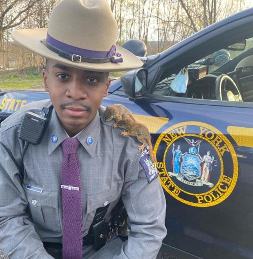 Trooper in Ithaca Rescues Baby Squirrel Kits on Earth Day [PHOTOS]