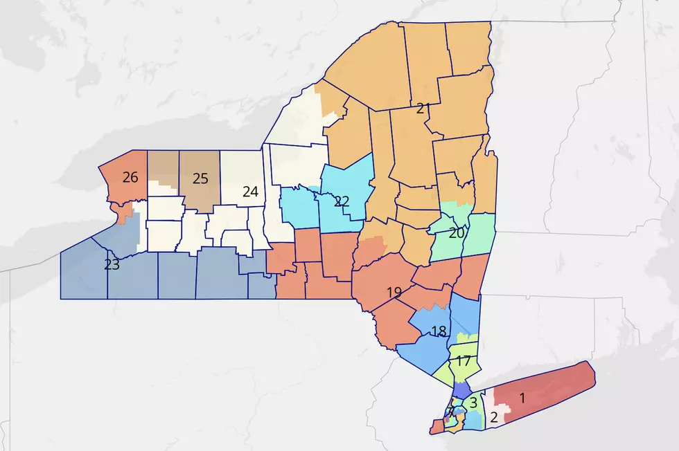 New York’s House District Map is Out and Democrats Can’t Be Happy