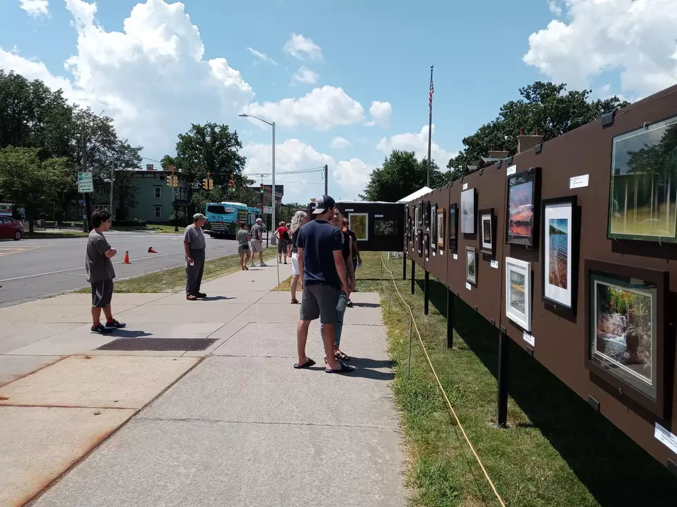 Take In The Art, 2022 MWPAI Side Walk Arts Show Underway